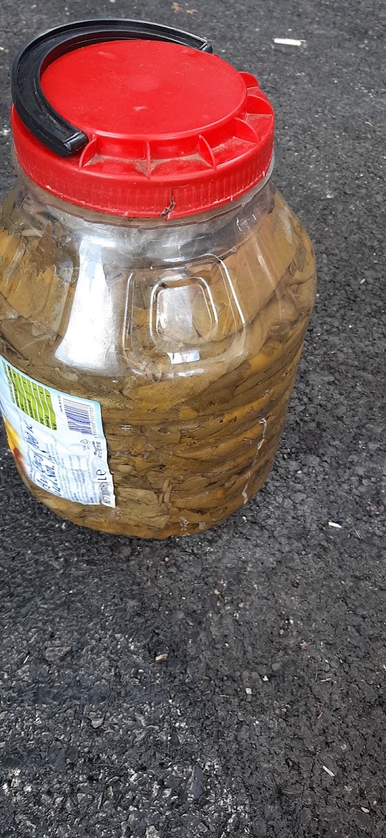 Köfteci Reşat Usta Toplu Yemekçilik-5